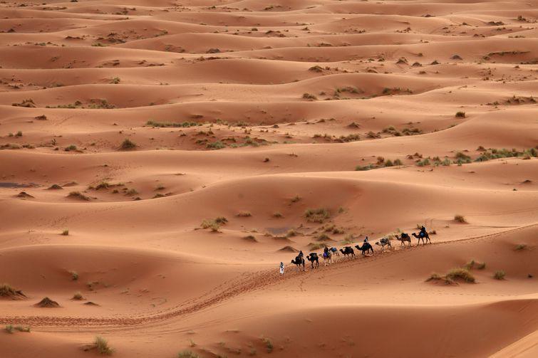 Camel trekking in Merzouga Desert Morocco