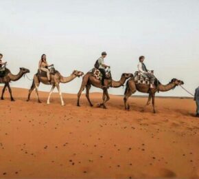 Trekking in cammello a Merzouga - Merzouga Tours Marocco Deserto cammello trekking