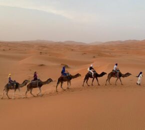 Esplora il deserto di Merzouga - Merzouga Erg Chebbi Tour Esplora il deserto di Merzouga - Merzouga Erg Chebbi Tour