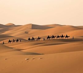 Circuit de 2 jours dans le désert de Marrakech au désert de Merzouga