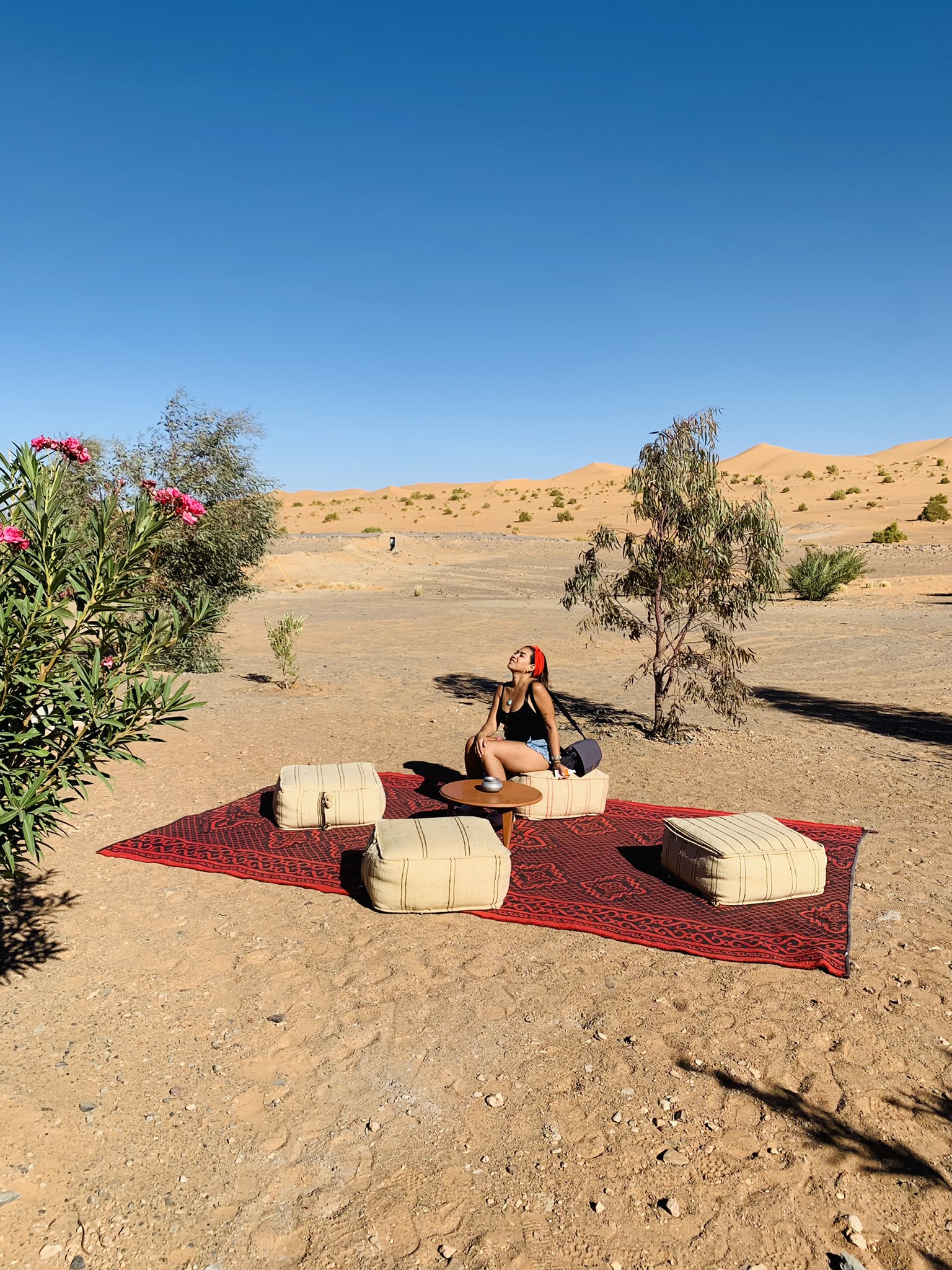 2-Days Tour from Fez to Merzouga Sahara and Back to Fez - Sahara
