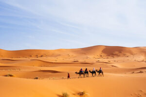2 Nights of Camel trekking in Merzouga Sahara