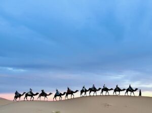3-Day Tour From Fez to Marrakech - Camel Trekking
