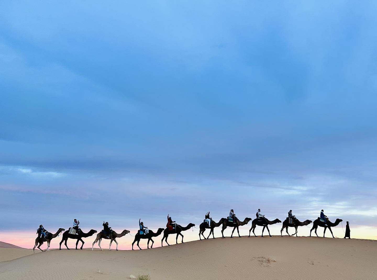 3-Day Tour From Fez to Marrakech - Camel Trekking