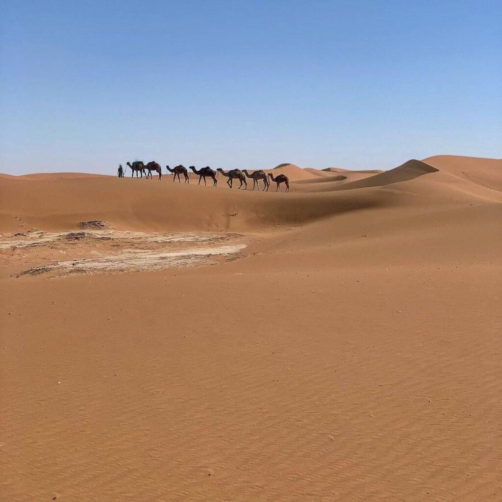 3 Days Tour From Marrakech to Erg Chegaga in 2023 - Erg Chegaga Desert