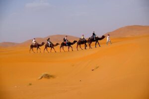 4 Days Tour From Rabat to Merzouga Desert - Rabat Tour