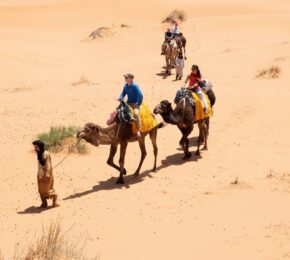 6-Days Tour From Marrakech to Kasbah - Merzouga Tours