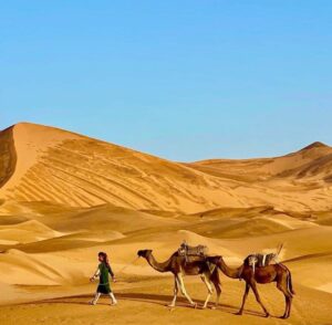Best 4-Day Tour From Fez to Marrakech and Merzouga - Camel Trekking