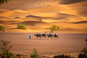 Perfect 3-Days Tour From Errachidia to Merzouga - Merzouga Camel Trek