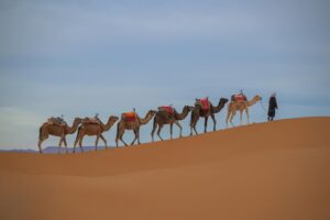 The 4-Days Tour From Tangier to Marrakech and Sahara - Camel trek
