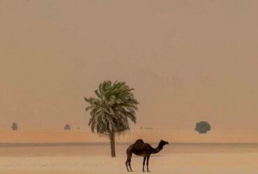 Tour del deserto da Marrakech a Fes 2 giorni