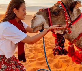 Merzouga Camel Trekking (Price's 2024 ) | Camel Rides