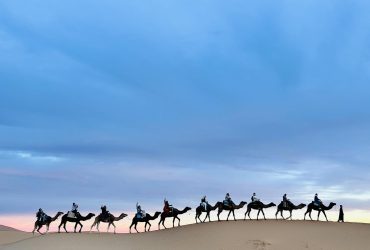 3-Day Tour From Fez to Marrakech - Camel Trekking