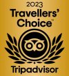 Travelers' Choice Awards Best of the Best 2023