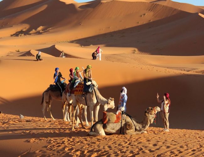 Camel Ride into the Desert Camel Ride into the Dunes