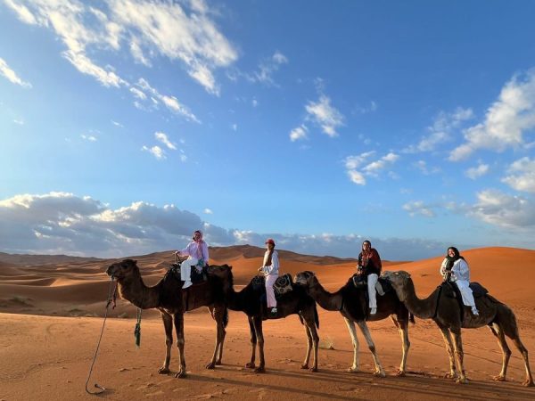 Camel trikking Experience Camel Trek Experience