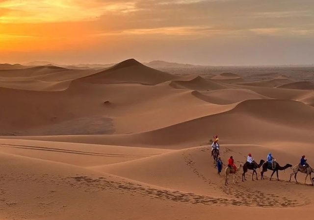 Magical Sahara Sunsets