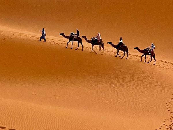 Why Choose a Camel Trek in Merzouga Why Choose a Camel Trek in Merzouga