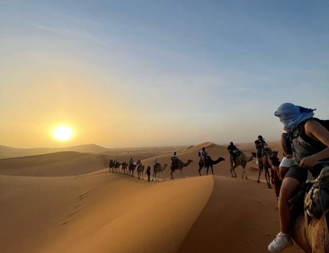 Sunset Camel Trek in Merzouga Desert Camel caravan during sunset in the Erg Chebbi dunes, Merzouga