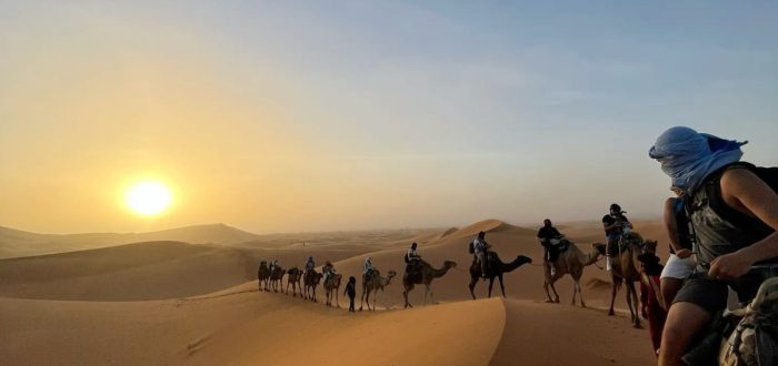 Camel caravan during sunset in the Erg Chebbi dunes, Merzouga