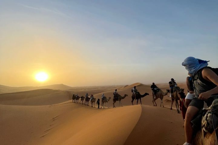 Camel caravan during sunset in the Erg Chebbi dunes, Merzouga