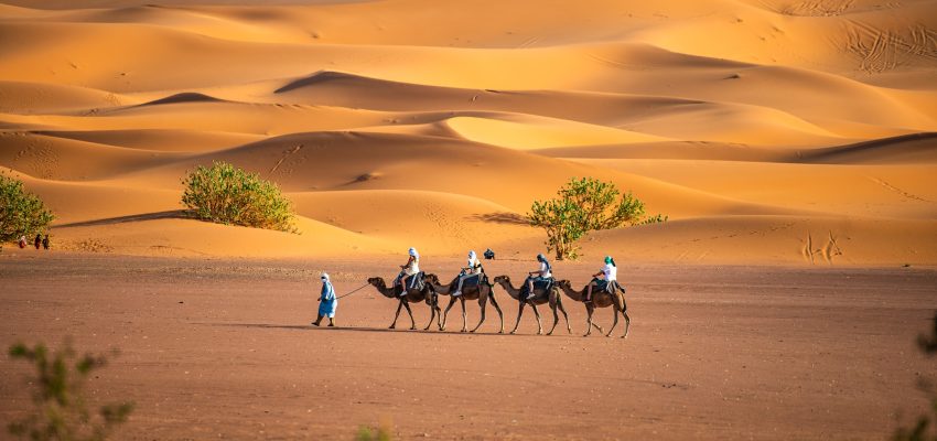 Perfect 3-Days Tour From Errachidia to Merzouga - Merzouga Camel TrekAlt text: Camel caravan crossing the golden dunes of Erg Chebbi at sunset in Merzouga.