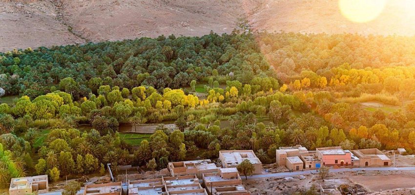 Ziz Valley Wonders Gateway to the Sahara