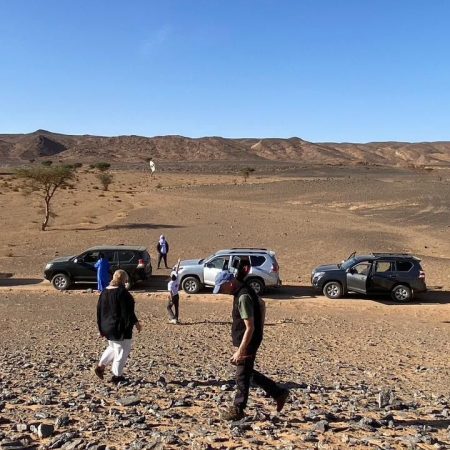 4 Days From Fes to Marrakech and Sahara Desert