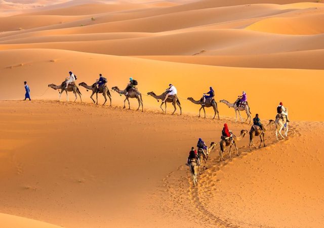 Camel Trek into the Erg Chebbi Dunes