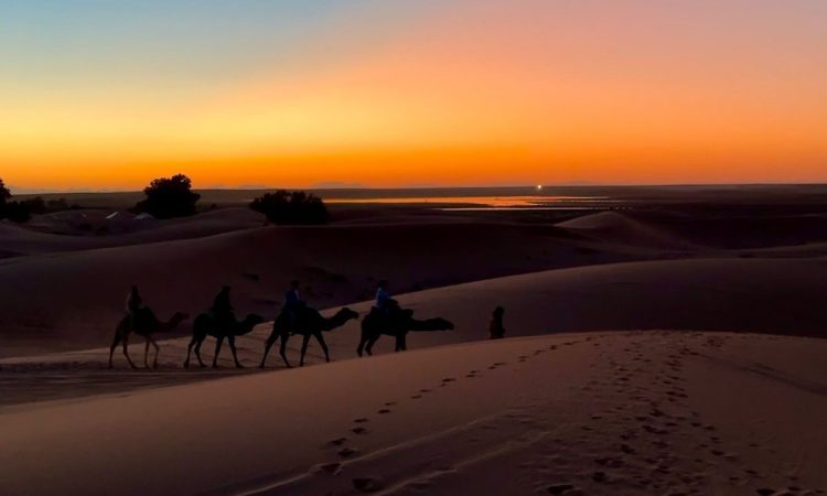 Unforgettable memories made with every step through the sand.