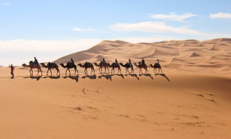 Riding into the golden light of the Sahara — the adventure begins.