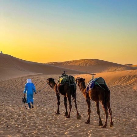 Tour di 3 giorni da Marrakech al deserto del Sahara