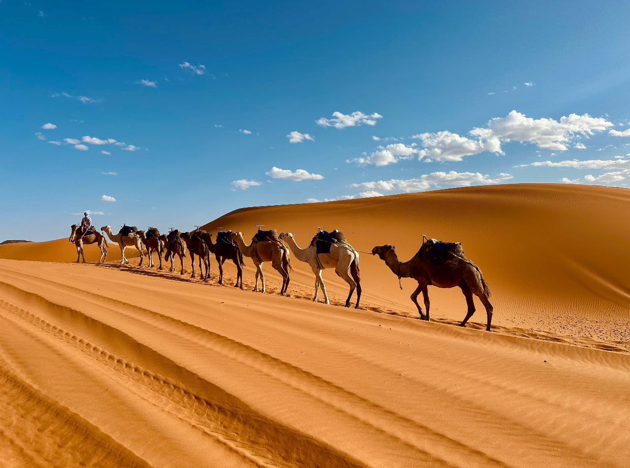 Sahara Desert Tours
