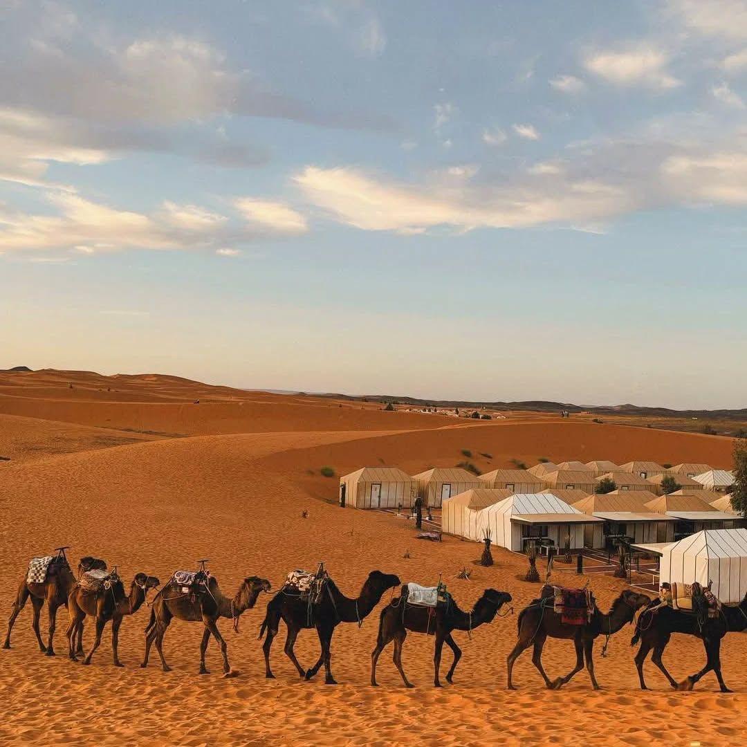 Students Sahara Desert Camp Merzouga