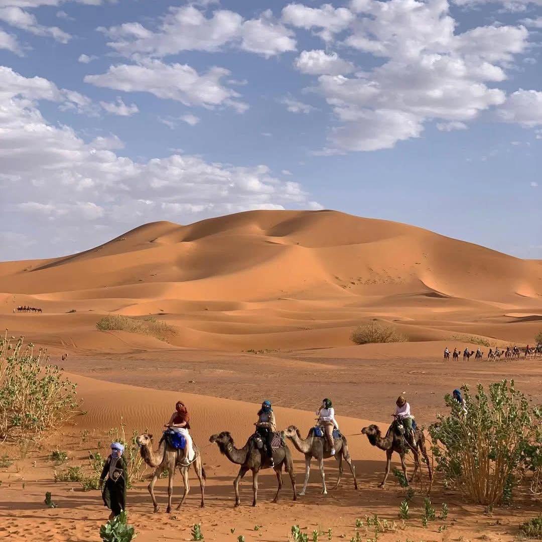 Camel Trekking Sahara Desert Morocco