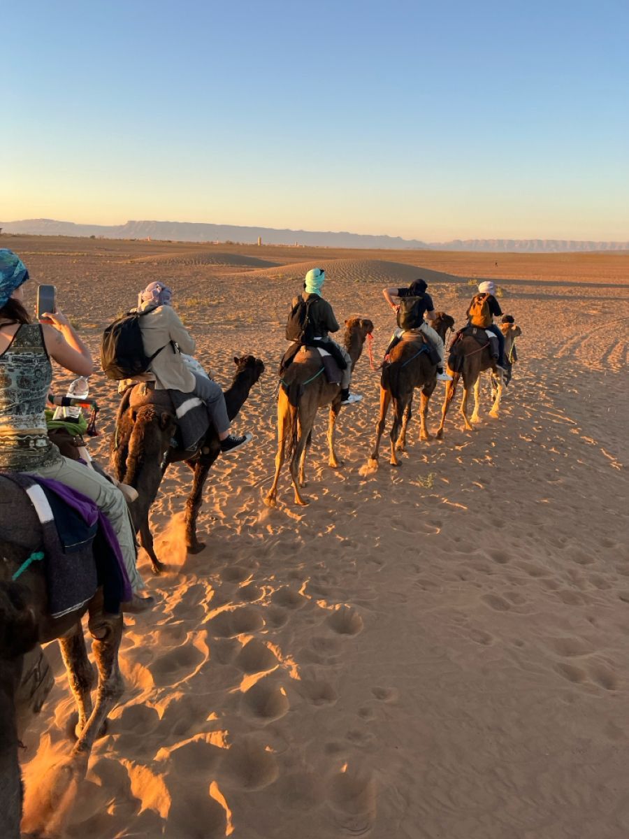 Balade en chameau Zagora coucher de soleil désert Maroc