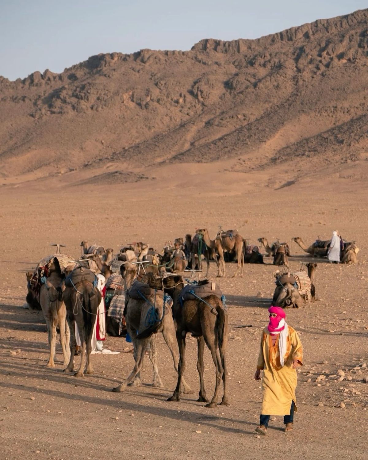 Camp désert Zagora nuit sous les étoiles Maroc