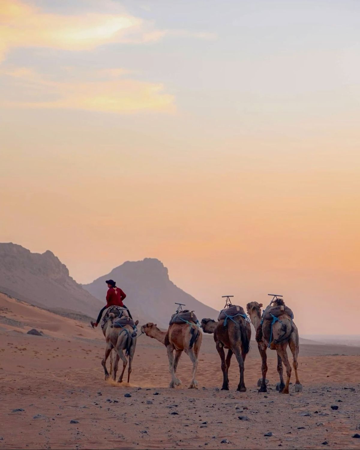 Désert de Zagora Maroc circuit 2 jours depuis Marrakech