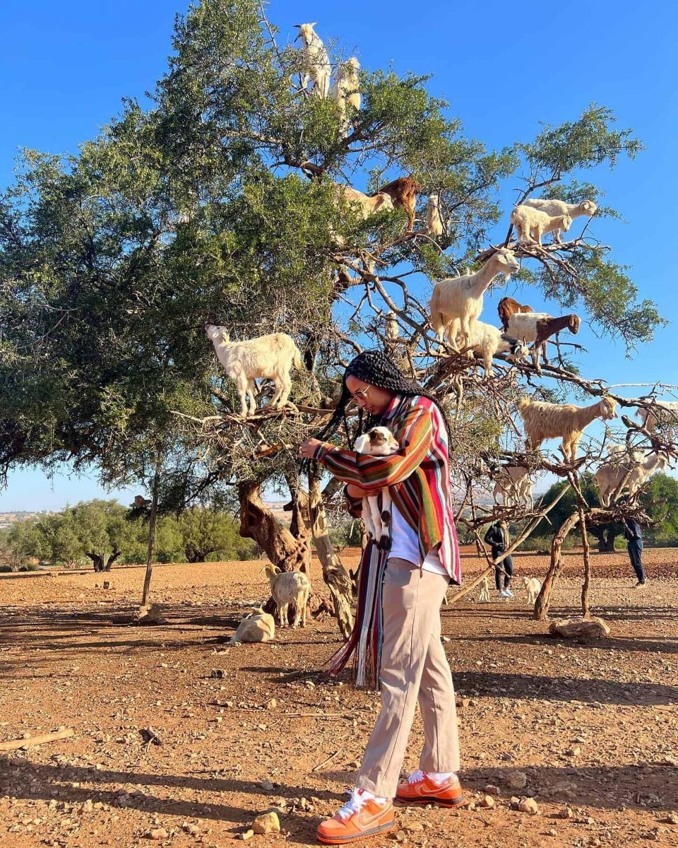Best Sahara Desert Tours from Agadir | 3, 4, 5 & 6 Day Merzouga Desert Trips