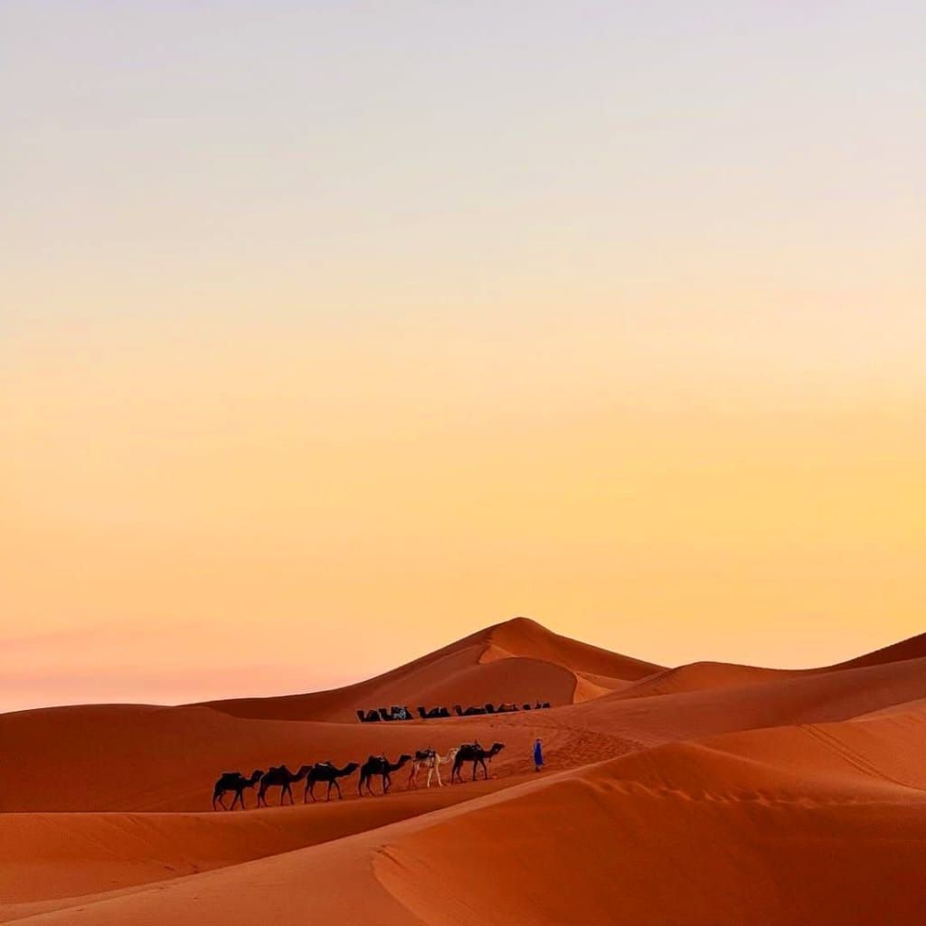 Camel ride at sunset in Merzouga
