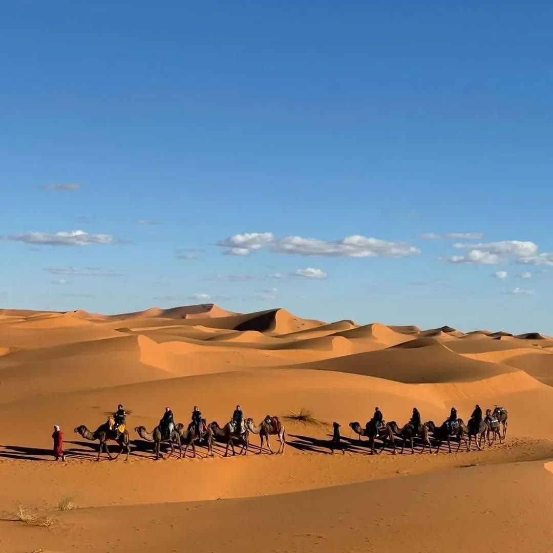 Camel Trekking in Merzouga Sahara Desert