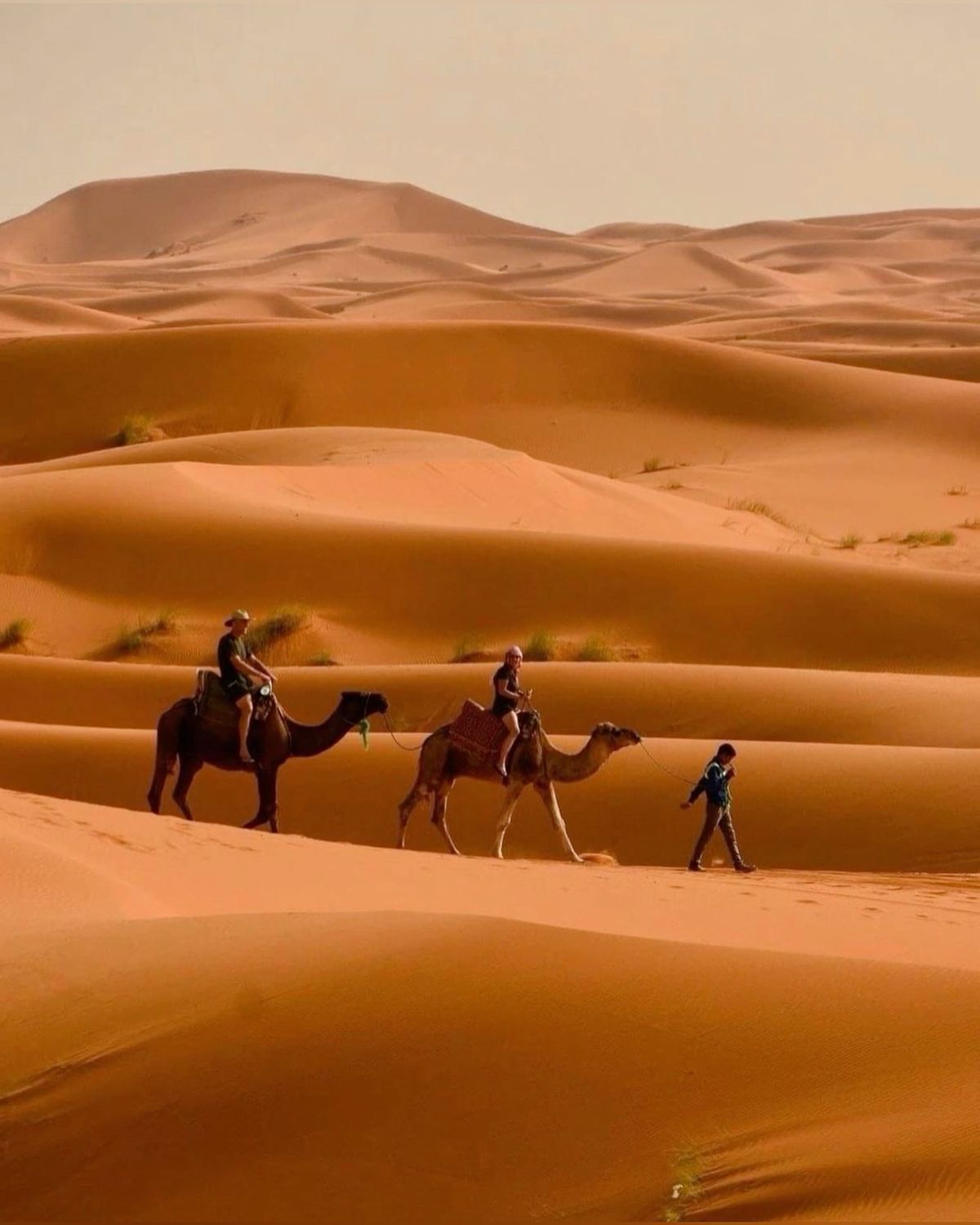 Merzouga Sahara Desert