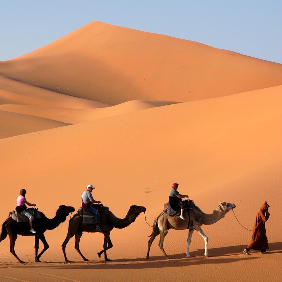 Camel caravan trekking across the Erg Chigaga dunes in Morocco