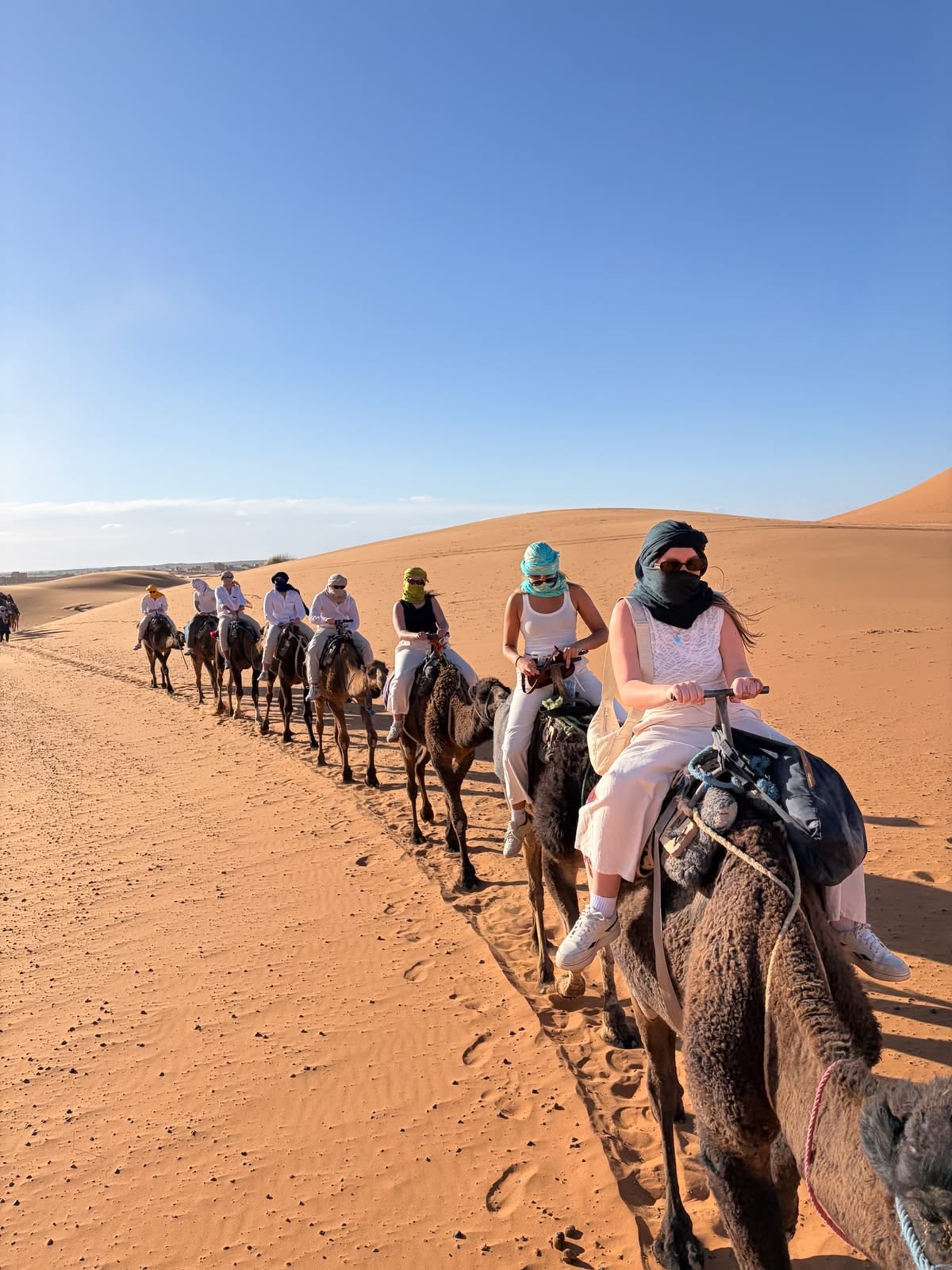 Camel caravan crossing the panoramic Erg Chegaga dunes in Morocco