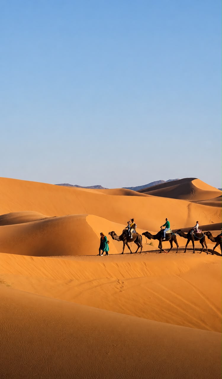 Escursione in cammello sulle dune di Erg Chebbi a Merzouga