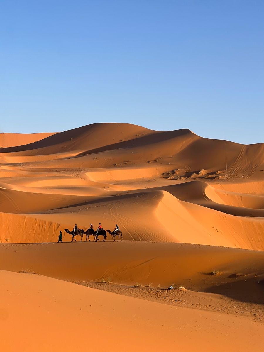 Camel Trekking Erg Chebbi from Agadir