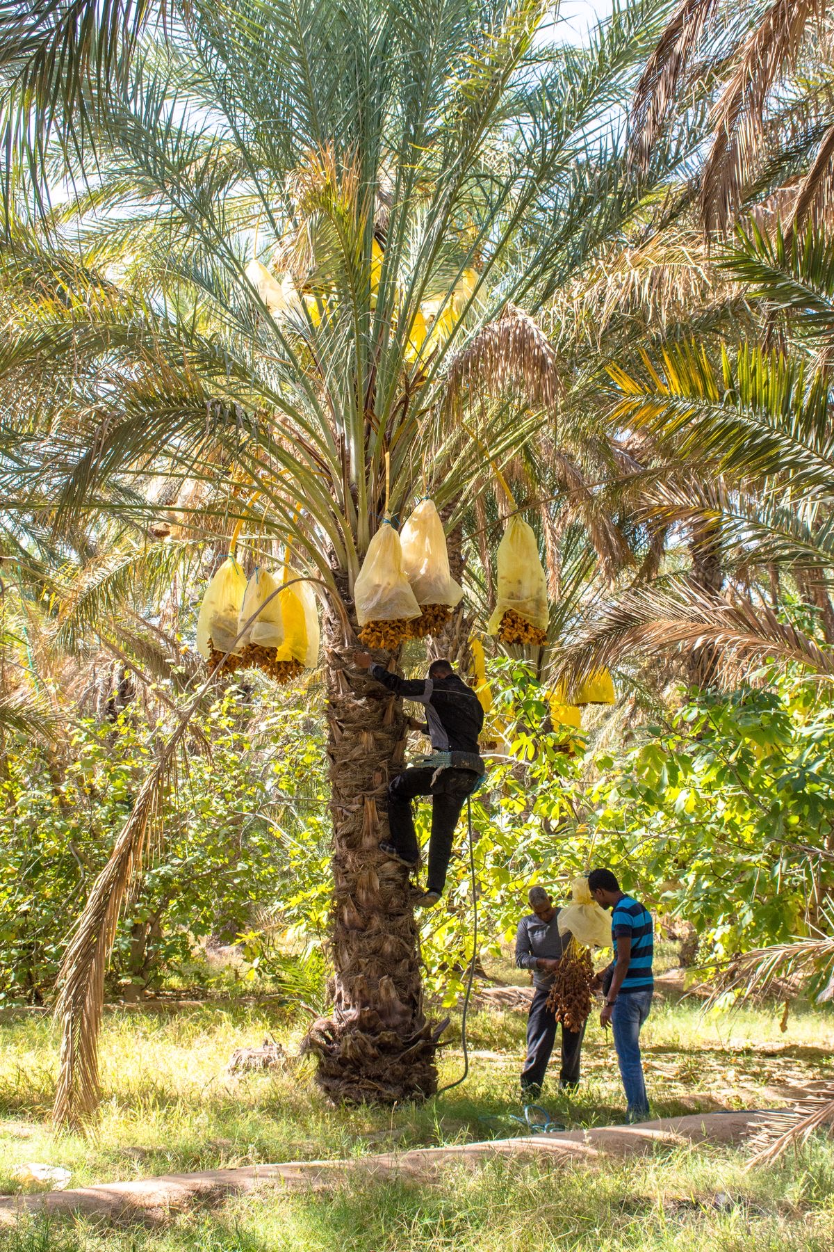 Private desert tour from Imlil to Merzouga and Erg Chebbi